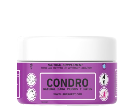 CONDRO