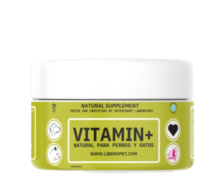 VITAMIN +